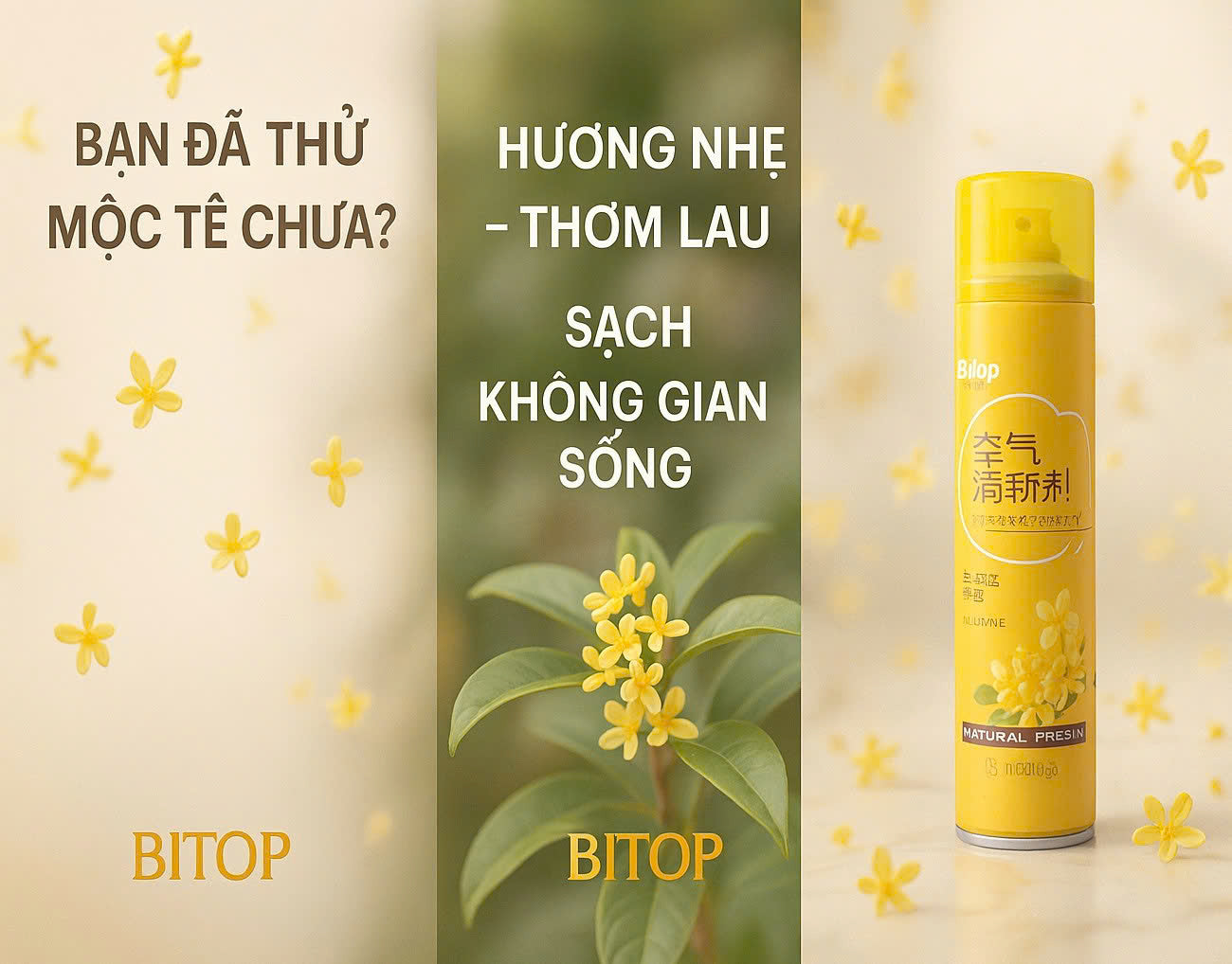 Xịt thơm phòng hương Hoa Mộc Tê