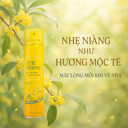 Xịt thơm phòng hương Hoa Mộc Tê